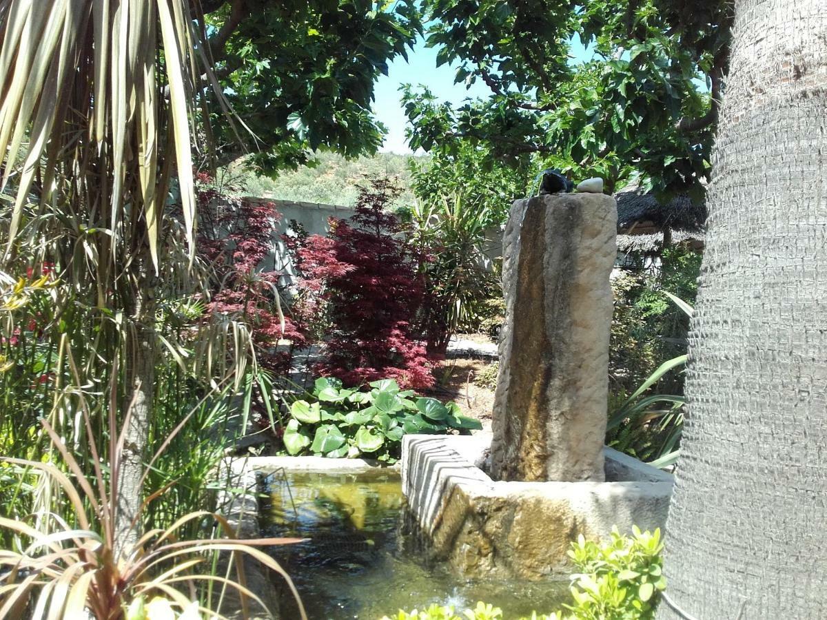 Studios Domaine L'Oliveraie Le Castellet  Ngoại thất bức ảnh